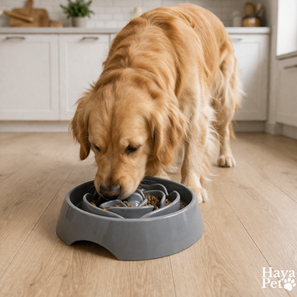 Ronde Anti-Schrok Voerbak Voor Honden Met Bloempatroon