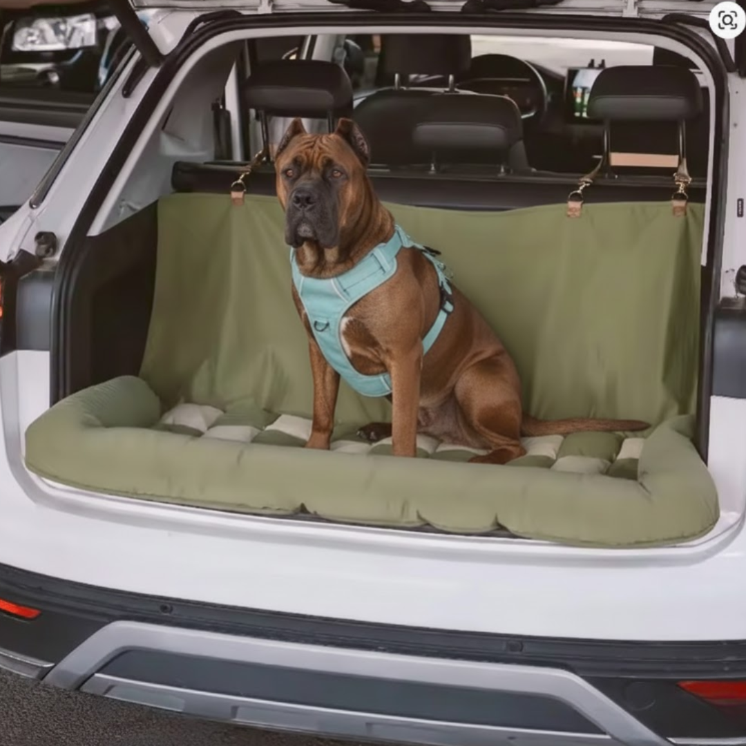 Groot Orthopedisch Hondenbed | Groot Wasbaar