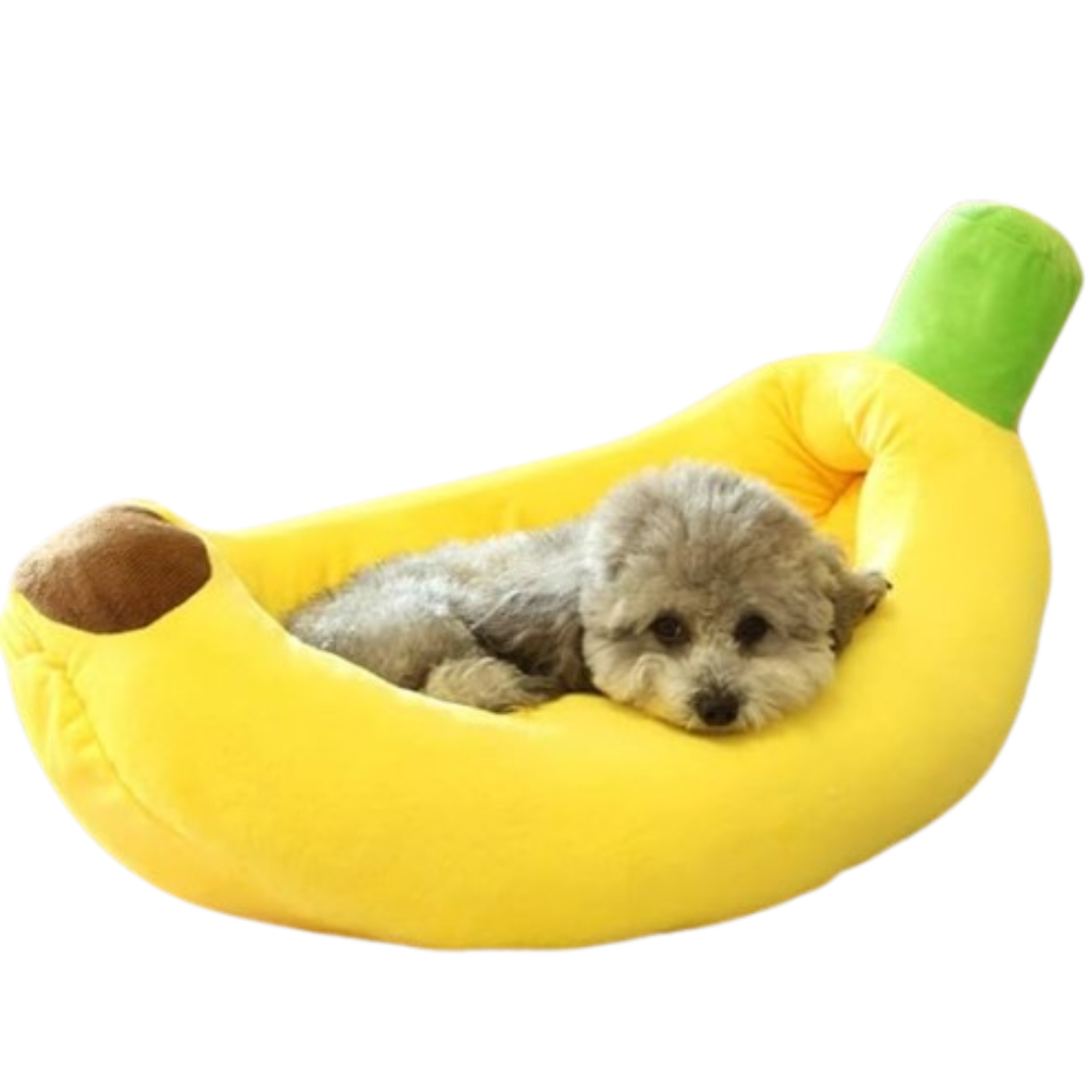 Honden Onverwoestbare Wasbare Mand | Voor Grote Honden