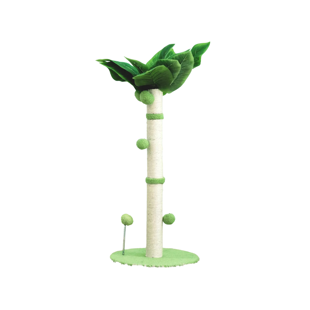 Katten Sisal Krabpaal | Plantenontwerp