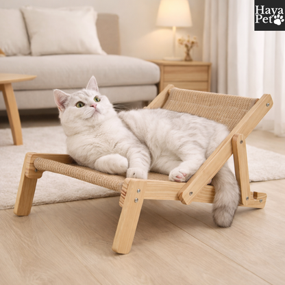 Verstelbare Krabligstoel Voor Katten Met Verwisselbaar Krabpaneel