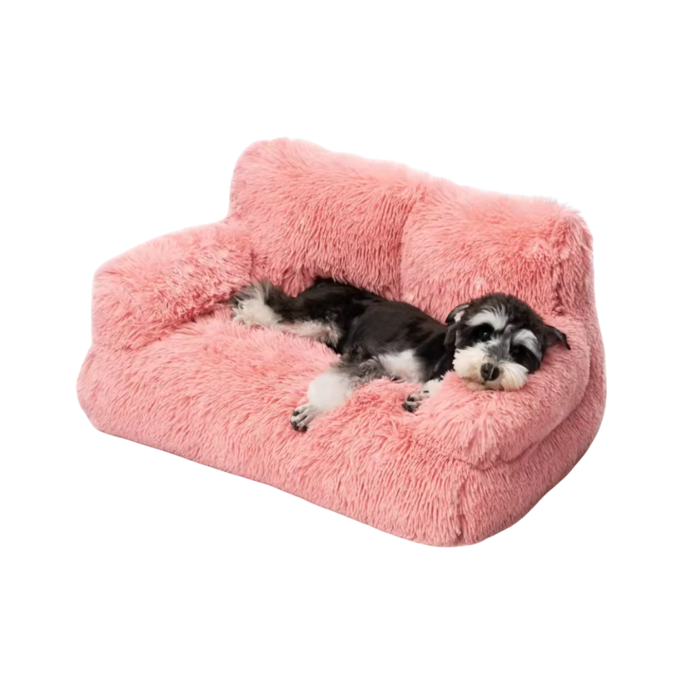 Honden Verhoogd Bed | Wasbare Bank voor Kleine Huisdieren