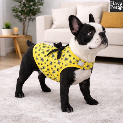 Zwart-Gele Hondenjurk Met Bijenprint