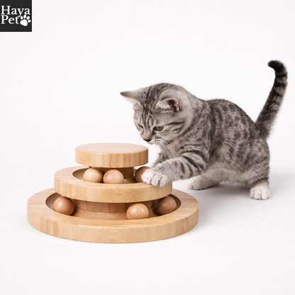 Kattenspeeltje Met Ronde Ballenbaan