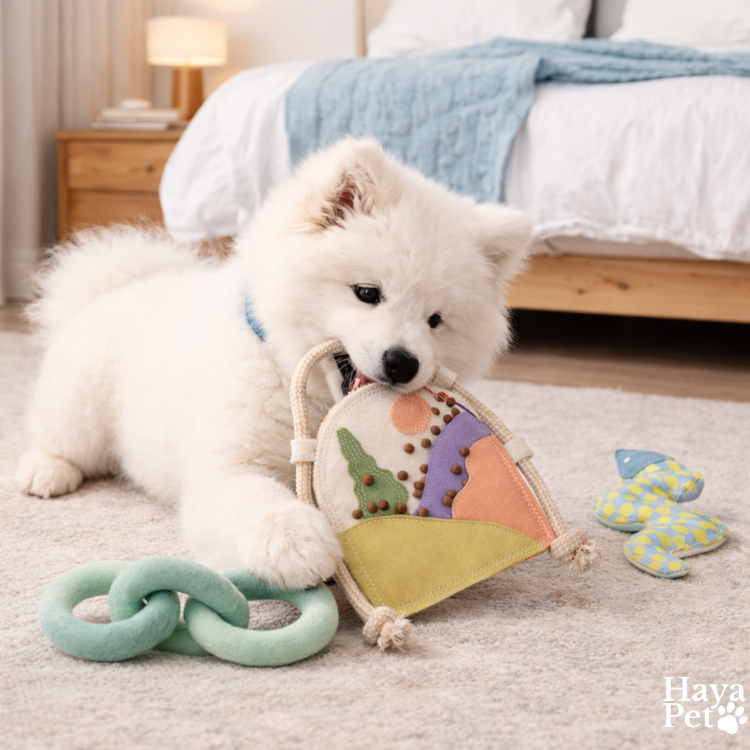 3-Delige Speelgoedbundel Voor Honden Met Puzzel- En Trekspeelgoed