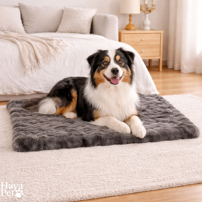 Warme Hondendeken Voor Thuis En Onderweg