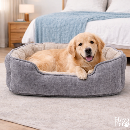 Hondenmand Met Opstaande Randen In Verschillende Maten