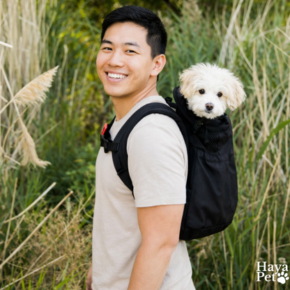 Hondendraagrugzak Voor Kleine Tot Middelgrote Honden