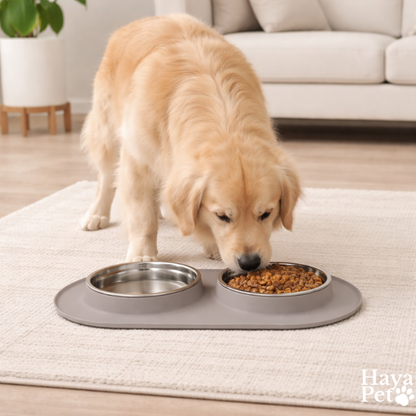 Dubbele Kattenvoerbak Met Lage Schotelbakjes En Opstaande Rand
