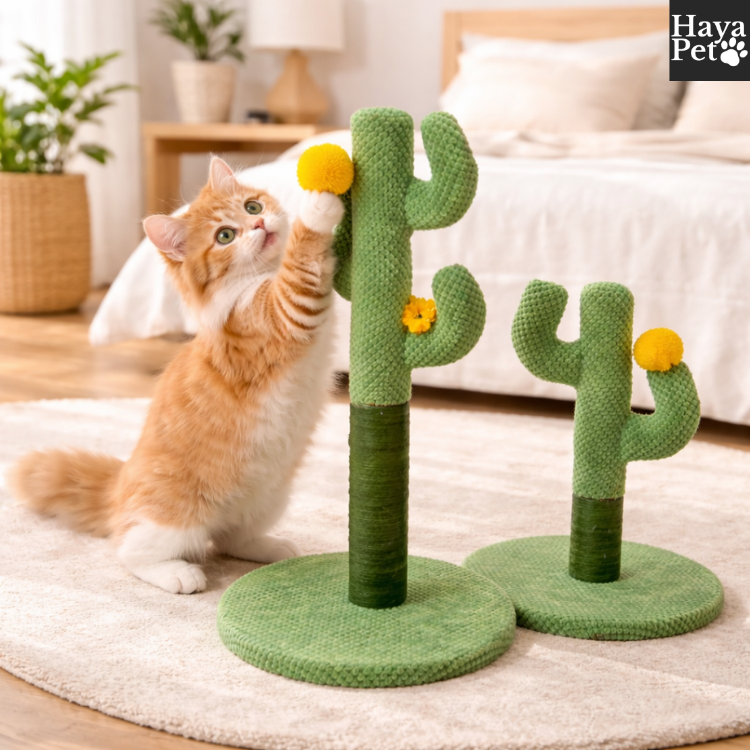 Cactusvormige Krabpaal Voor Katten