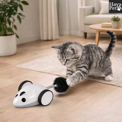 Bestuurbare Speelmuis Voor Katten