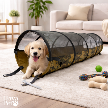 Play Tunnel For Cats And Dogs