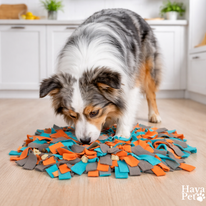 Round Snuffle Mat For Dogs With Suction Cups