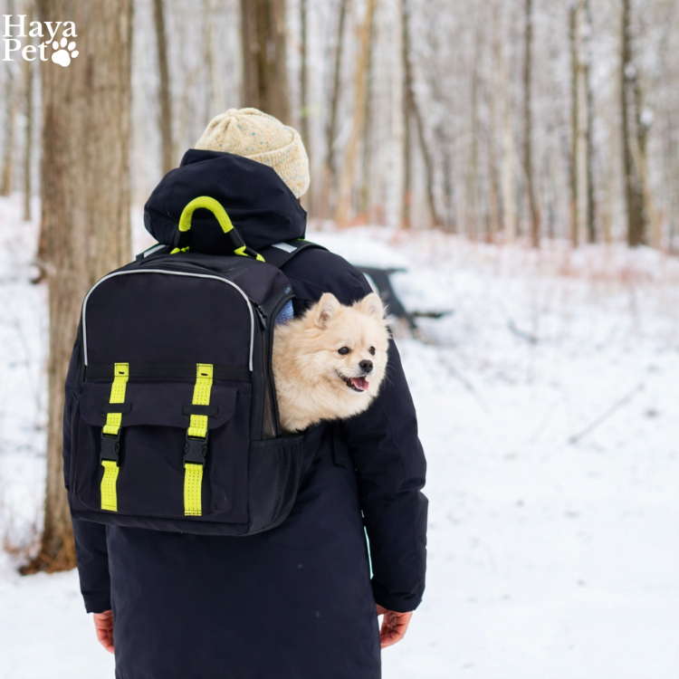 Hondendraagrugzak Met Ventilatieopeningen En Binnenlijn