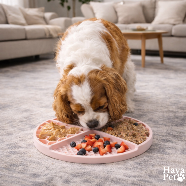 Interactieve Voerpuzzel Voor Honden Met Zuignappen