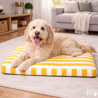 Buiten Hondenbed Met Antislipbodem En Draaggreep