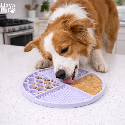 Interactieve Voerpuzzel Voor Honden Met Zuignappen