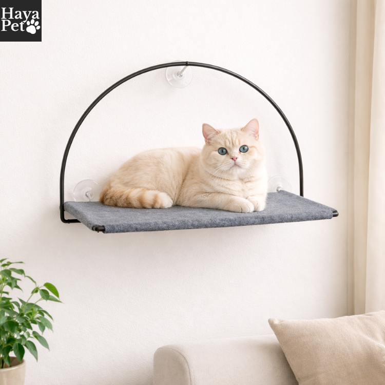 Kattenhangmat Voor Het Raam Met Zuignappen