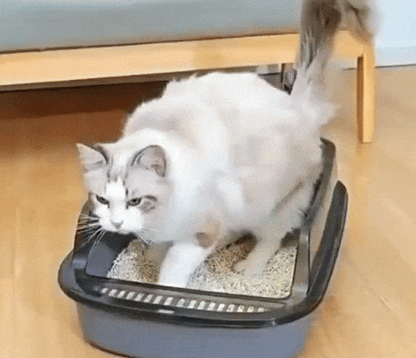 Litter Box Closed Design, Pull-Out Drawer & Stylish Design