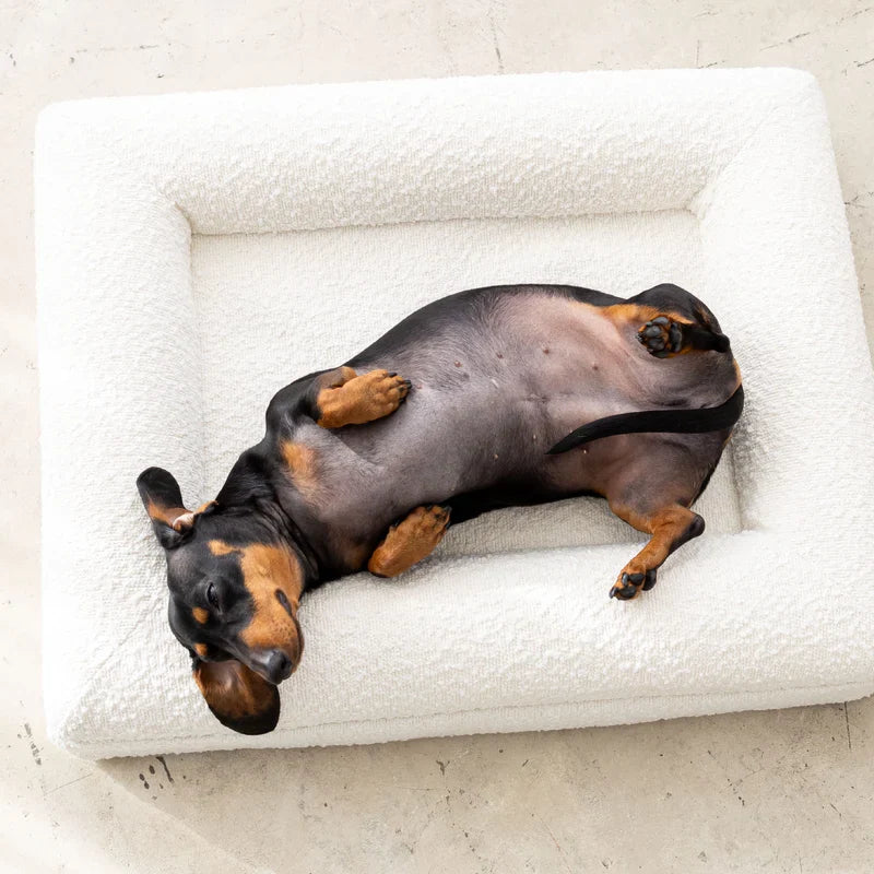 Honden Vier Seizoenen Bed | Slijtvaste Hondenbed