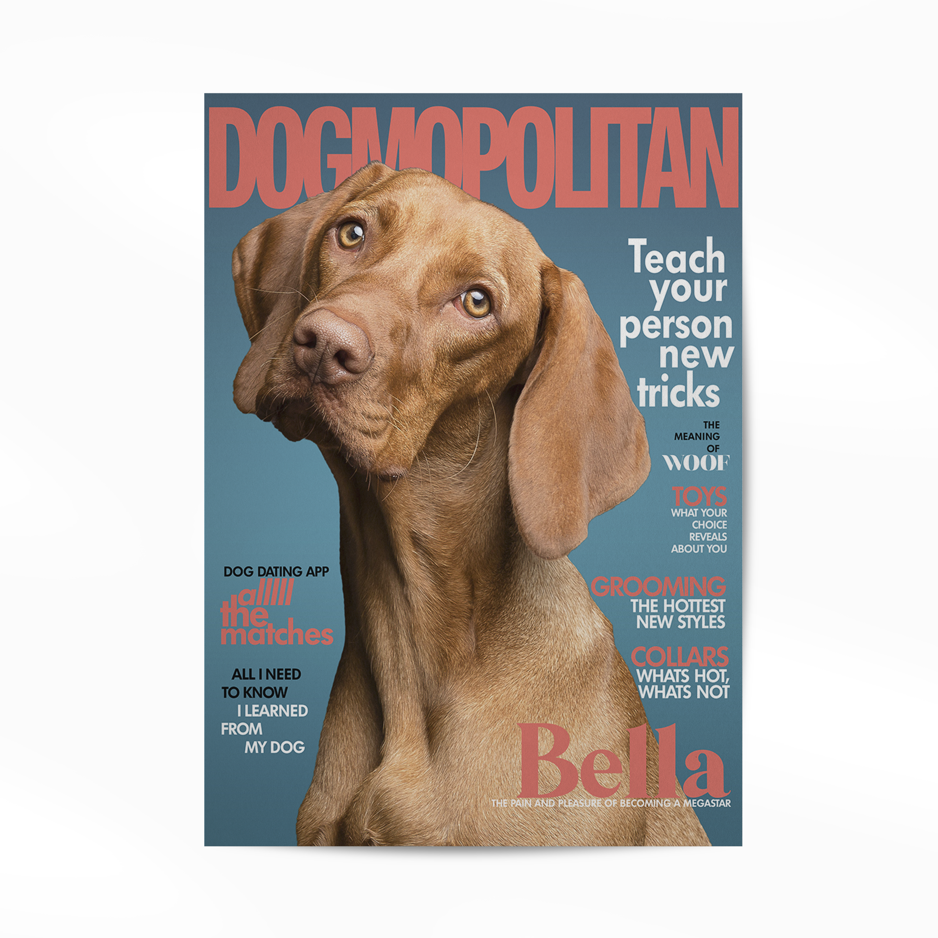 Gepersonaliseerde Huisdier Poster Jouw Kat of Hond op Magazine Cover