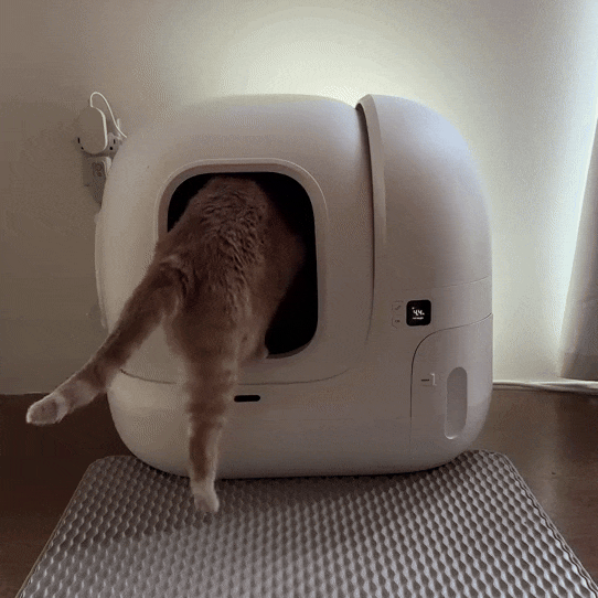Automatische Kattenbak Met Geurcontrole Voor Meerdere Katten Litter Robot