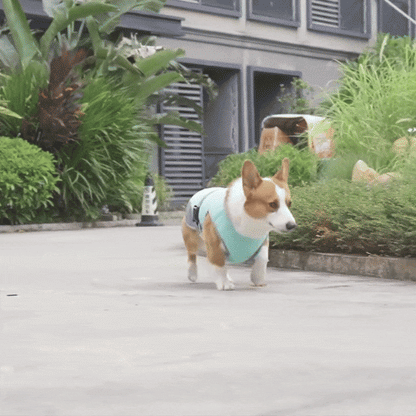 Dog Quick-Drying, Comfortable & Reflective for Safety