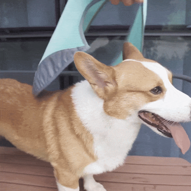 Honden Sneldrogend, Comfortabel & Reflecterend Voor Veiligheid