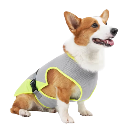 Dog Quick-Drying, Comfortable & Reflective for Safety