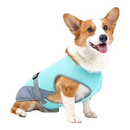 Dog Quick-Drying, Comfortable & Reflective for Safety