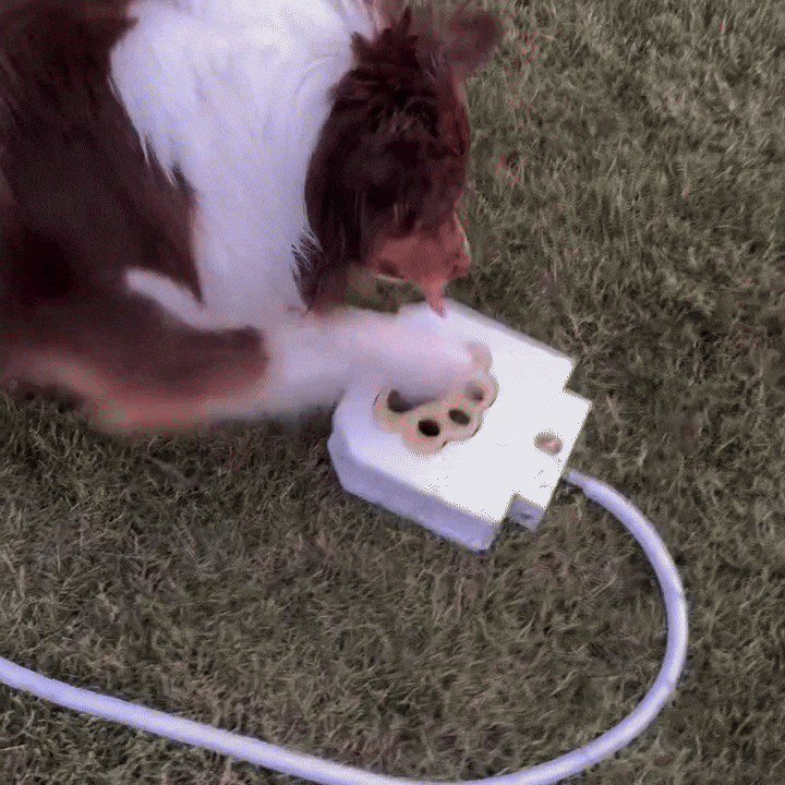 Honden Waterfontein Interactieve Pedaal Fontein Voor Buiten & Verkoeling
