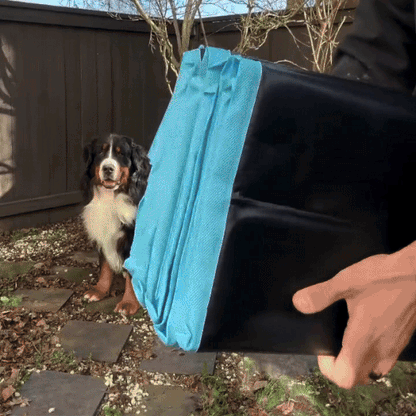 Dog Pool Foldable, Leakproof, Strong Enough for Sharp Nails