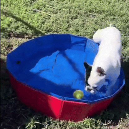 Dog Pool Foldable Durable Dog Bath with Non-Slip Bottom