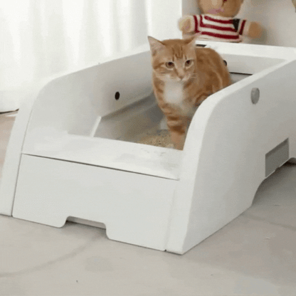 Self-Cleaning Litter Box Smart Self-Cleaning Litter Box for Hygiene & Convenience
