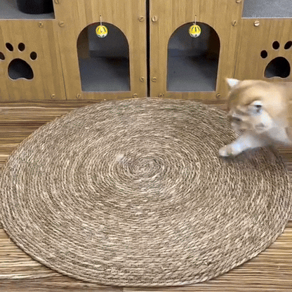 Katten krabmat Beschermt Meubels, Dubbele Functie Rustmat