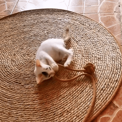 Katten krabmat Beschermt Meubels, Dubbele Functie Rustmat