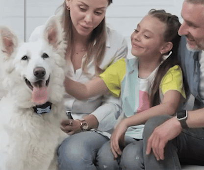 Anti-Bark Collar Safe Without Shock, Ultrasonic &amp; Vibration, USB Rechargeable