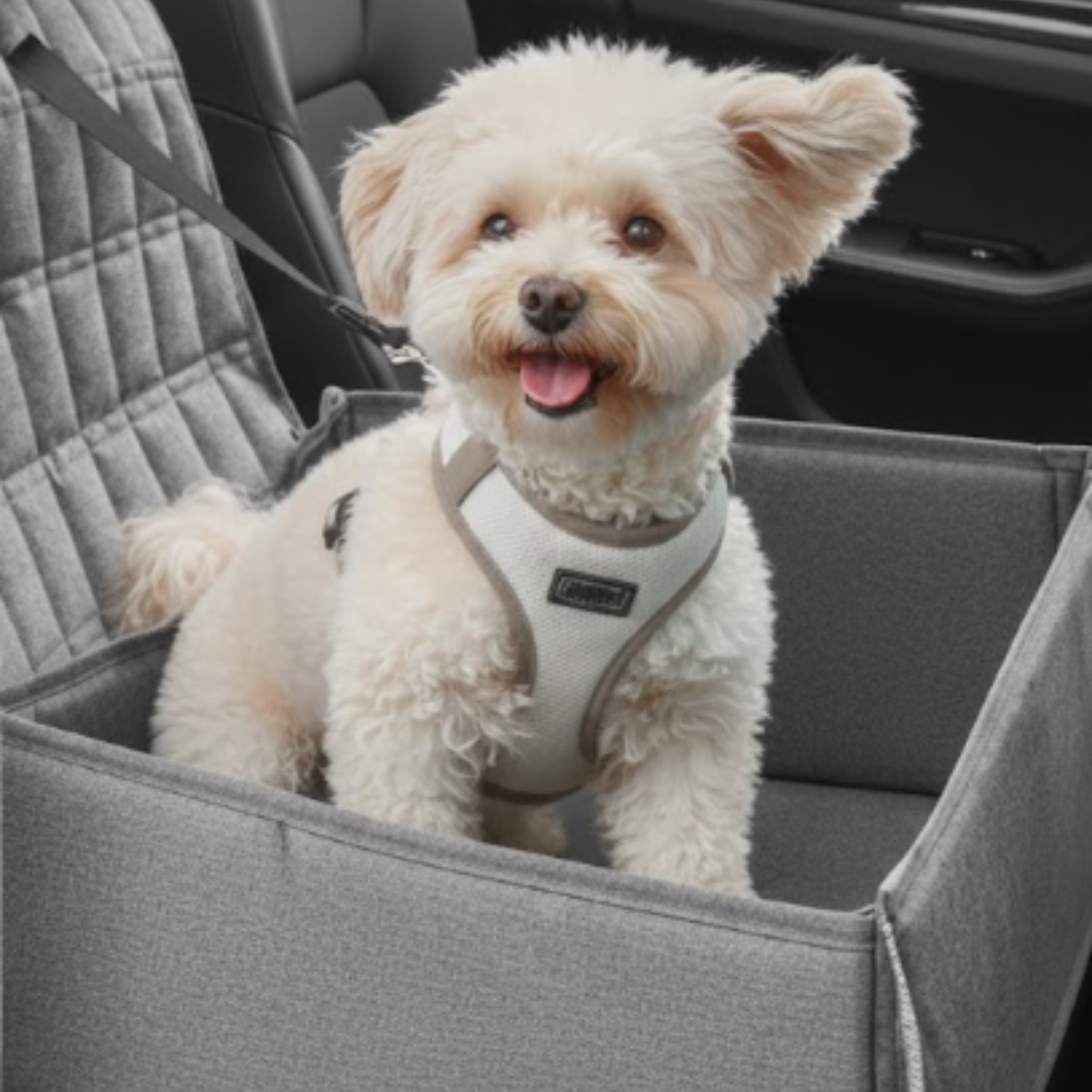 Dog Waterproof Car Seat Carrier Bag | Foldable Travel Bag For Small Pets