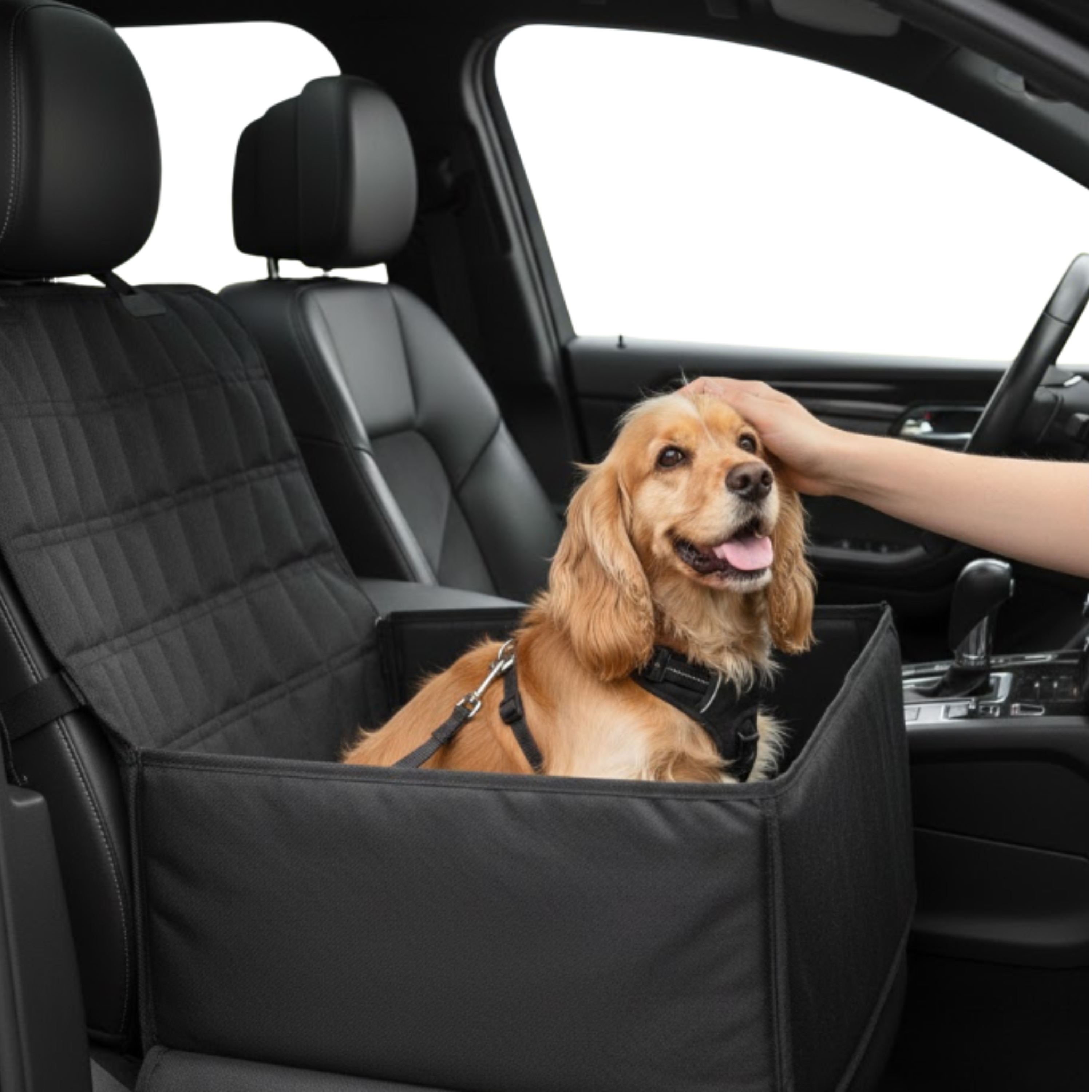 Dog Waterproof Car Seat Carrier Bag | Foldable Travel Bag For Small Pets