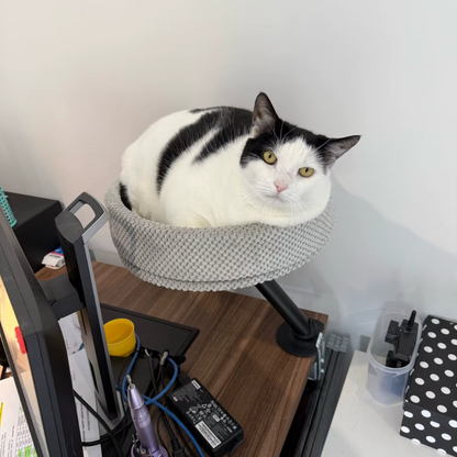 Katten Bureaubed | Slaapplek