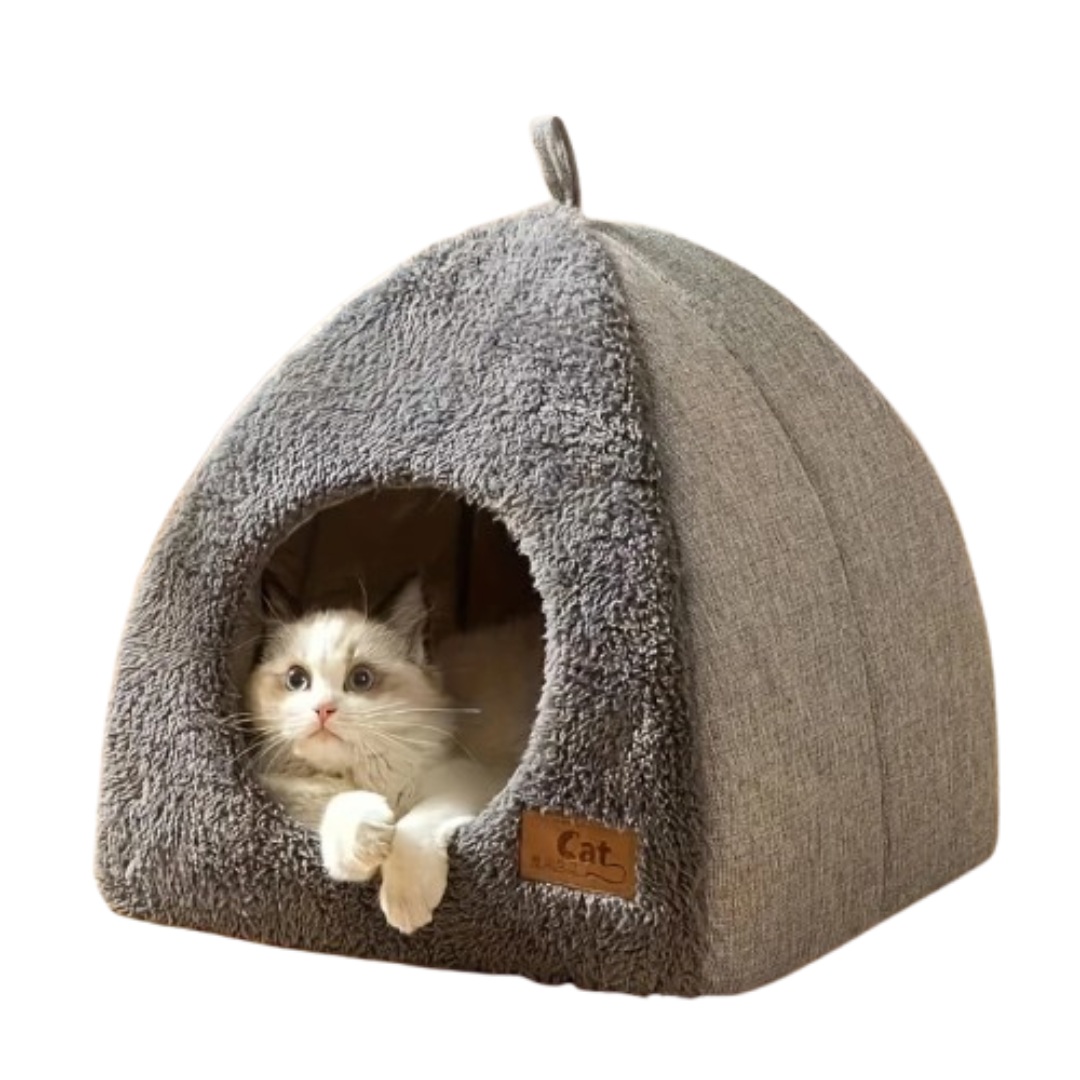 Cats Cave House | Indoor