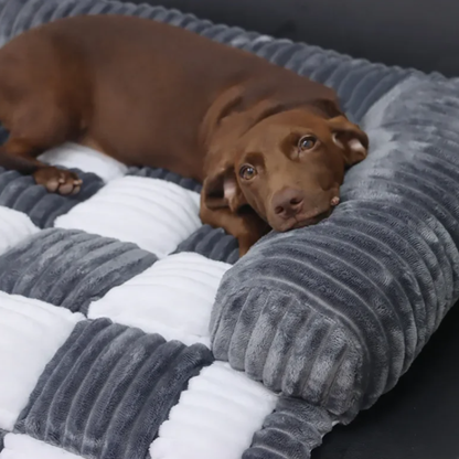 Beste Orthopedisch Hondenbed | Wasbaar Hondenmatras