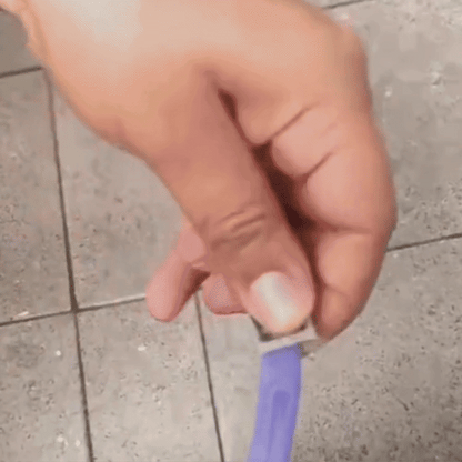 Flea Collar for Cats Safe, Plant-Based Oils Against Fleas and Ticks