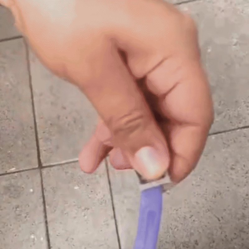 Vlooienband Voor Katten Veilig, Plantaardige Oliën Tegen Vlooien En Teken