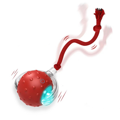 Interactieve Speelbal Voor Kattenspeeltje Slimme Bal Die Katten Actief & Gelukkig Maakt