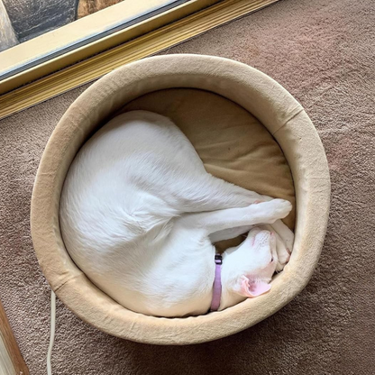 Katten Verwarmd Bed | Bed voor een Kat