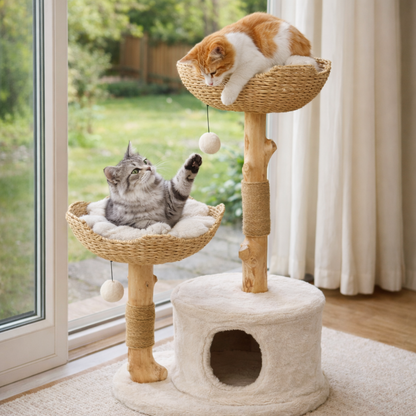 Grote Katten Krabboom Met Houten Frame