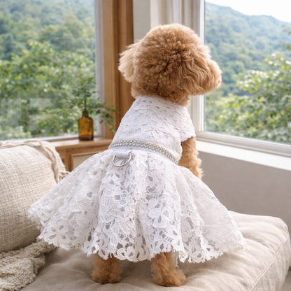 Pet Wedding Lace Dress | White