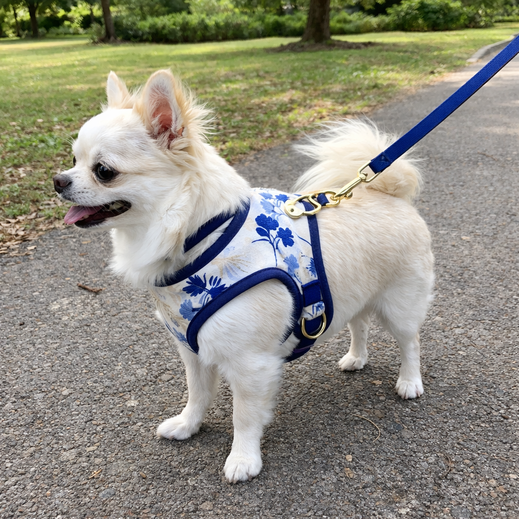 Dog Reversible Harness | Dual Colour
