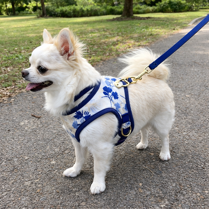 Dog Reversible Harness | Dual Colour